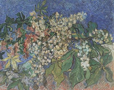 Vincent Van Gogh Blossoming Chestnut Branches (nn04) china oil painting image